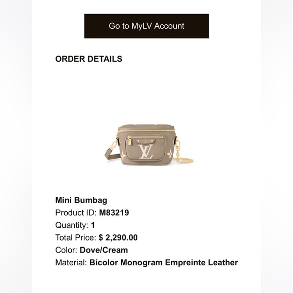 Louis Vuitton mini bumbag - Picture 4 of 7